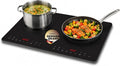MEDION IC20D Plaque induction 2 foyers 3500 W extra plate – noir/gris