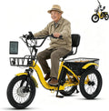 Tricycle électrique Pliable pour Adulte – 13 Ah, gris/noir
